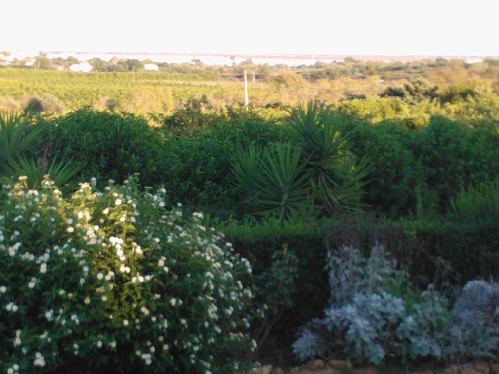 Gasthaus Quinta Da Moura Casa-De-Campo Tavira Exterior foto