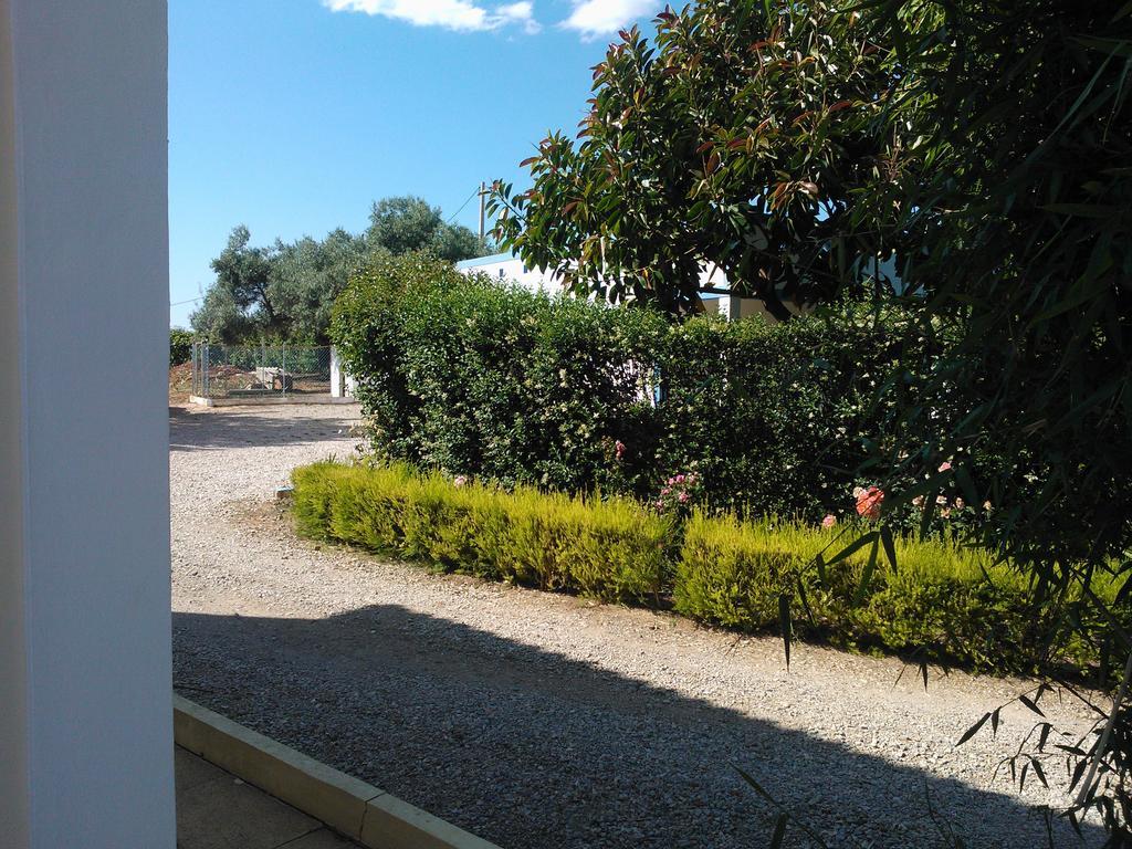 Gasthaus Quinta Da Moura Casa-De-Campo Tavira Exterior foto