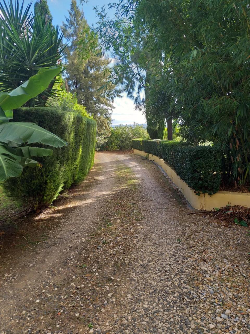 Gasthaus Quinta Da Moura Casa-De-Campo Tavira Exterior foto